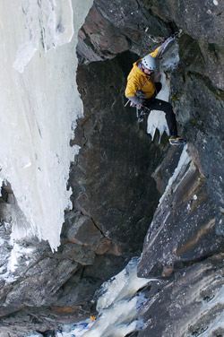 peter_varvell_lipton